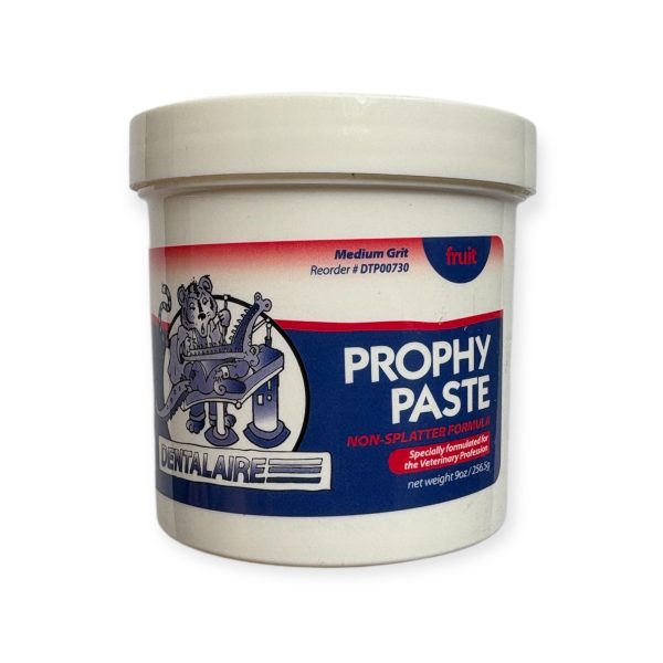 PROPHY PASTE POT 250G MEDIUM FRUIT FLAVOUR
