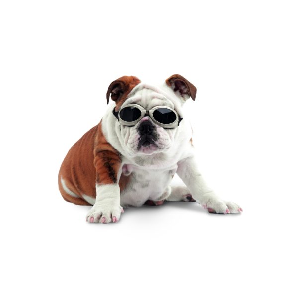 LASER SAFETY DOGGLES KIT