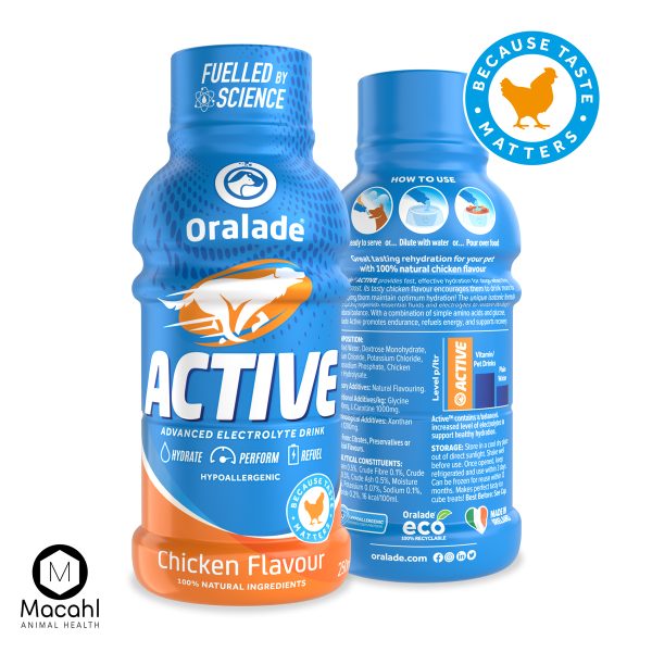 ORALADE ACTIVE 'CHICKEN' 250ml - Image 2
