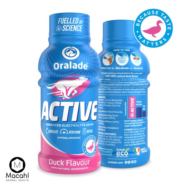 ORALADE ACTIVE 'DUCK' 250ml - Image 2