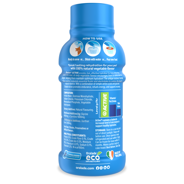 ORALADE ACTIVE 'VEGETABLE' 250ml - Image 3