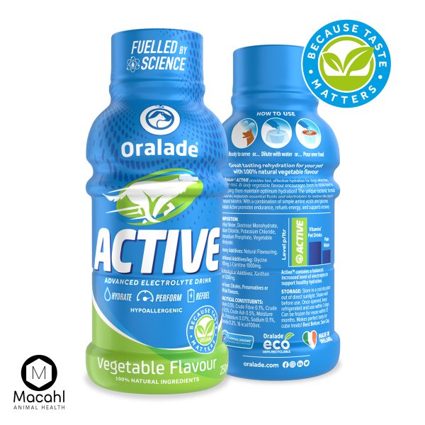 ORALADE ACTIVE 'VEGETABLE' 250ml - Image 2
