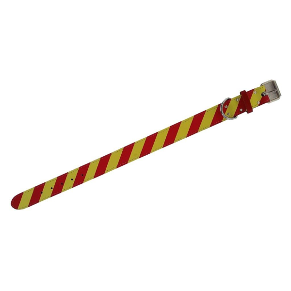 DANGEROUS DOG COLLAR - STRAIGHT