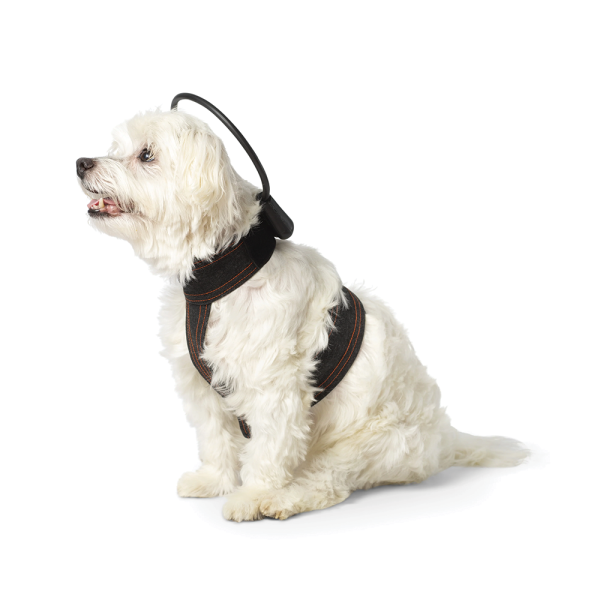 ASSISI CALMER CANINE WITH VEST - EXTRA SMALL