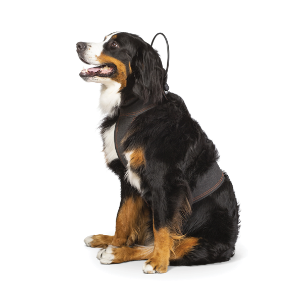 ASSISI CALMER CANINE LOOP WITH VEST - EXTRA LARGE