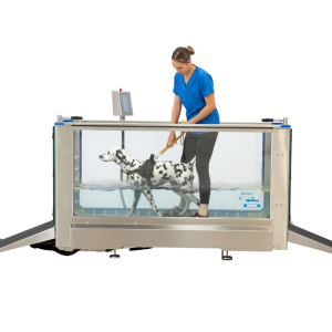 HYDROPHYSIO CANINE 5 UNDERWATER TREADMILL V2
