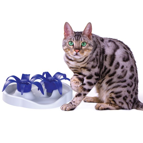AIKIOU THIN CAT FEEDER