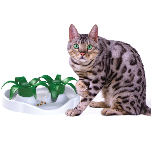 AIKIOU THIN CAT FEEDER
