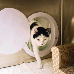 SHOR-LINE KAT PORTAL NARROW (3.49CM WIDE)
