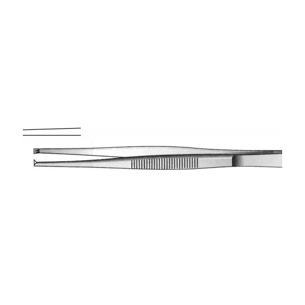 ECONOMY FORCEPS TISSUE - 16cm