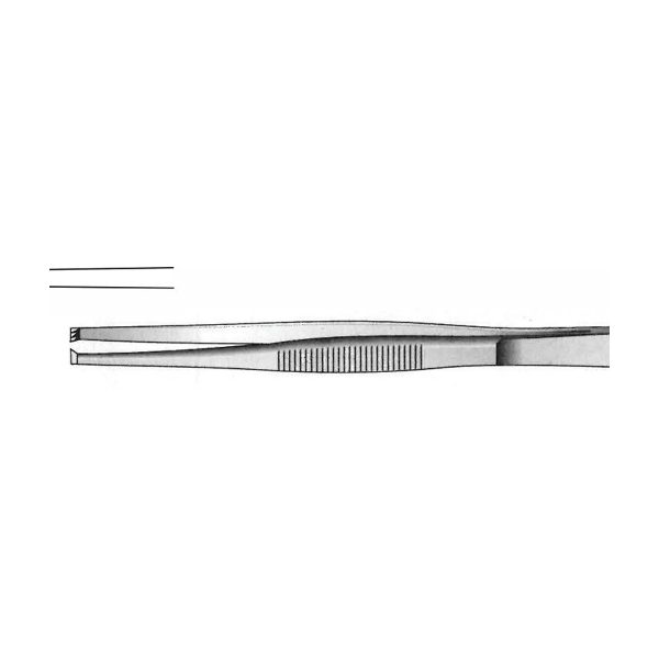 ECONOMY FORCEPS TISSUE - 13cm