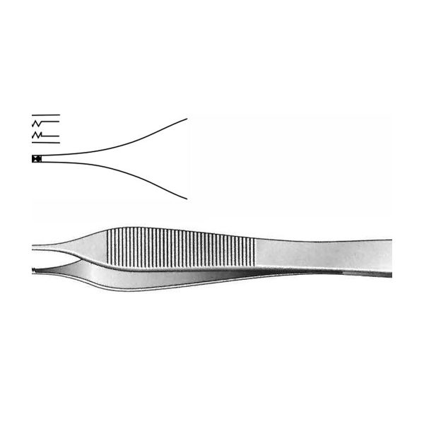 ECONOMY FORCEPS TISSUE ADSON BROWN - 12cm