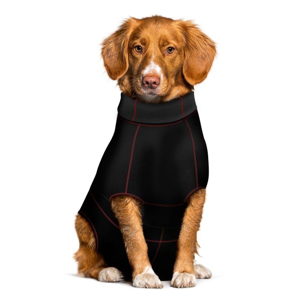 MEDIPAW DOG PROTECTIVE SUIT - MEDIUM
