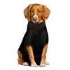 MEDIPAW PROTECTIVE SUIT - STARTER KIT - Image 4
