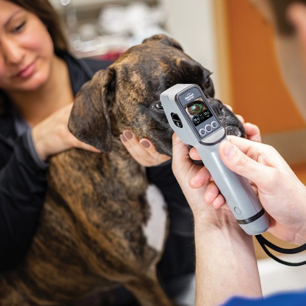 TONO-VERA VET TONOMETER STARTER KIT - Image 3
