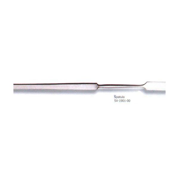 SPATULA RODENT