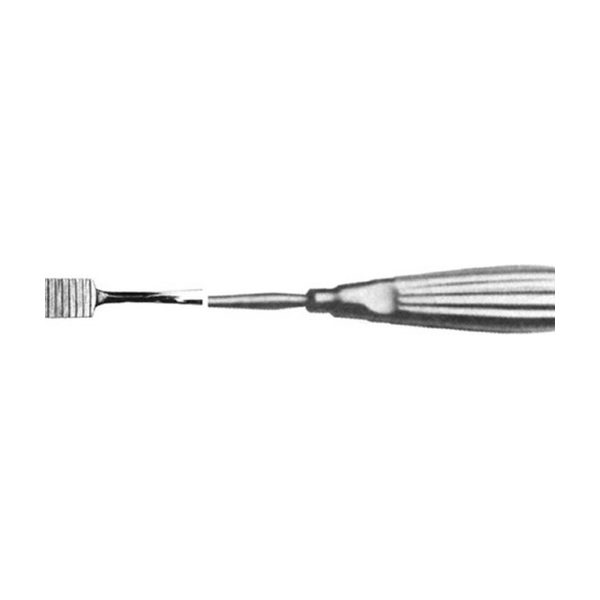 MOLAR RASP RODENT BROAD COURSE