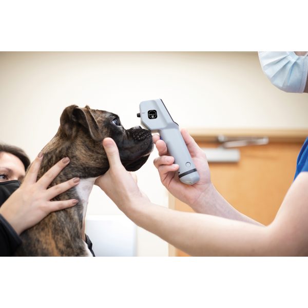 TONO-VERA VET TONOMETER STARTER KIT - Image 5