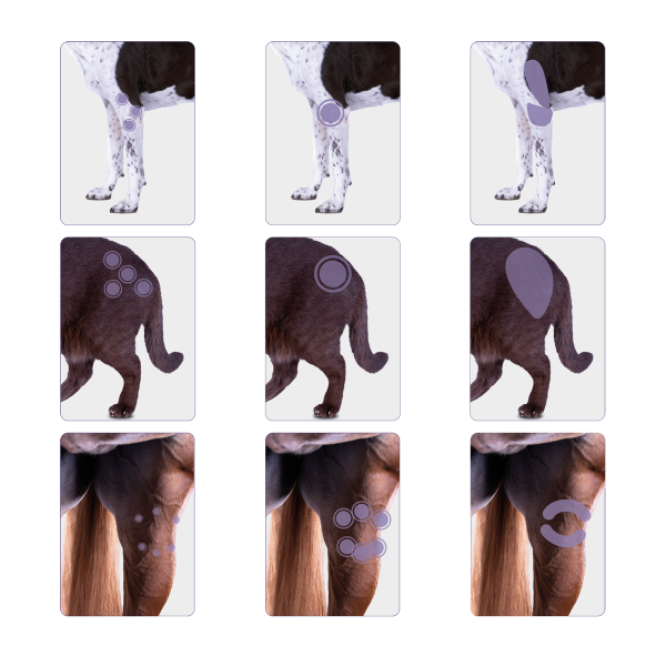 M-VET THERAPY LASER KIT WITH TROLLEY - Image 7